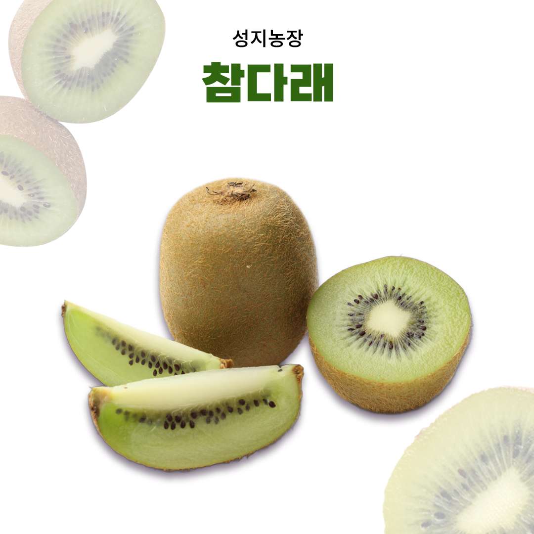 [성지농장] 유기농 참다래 10Kg(옵선선택) 