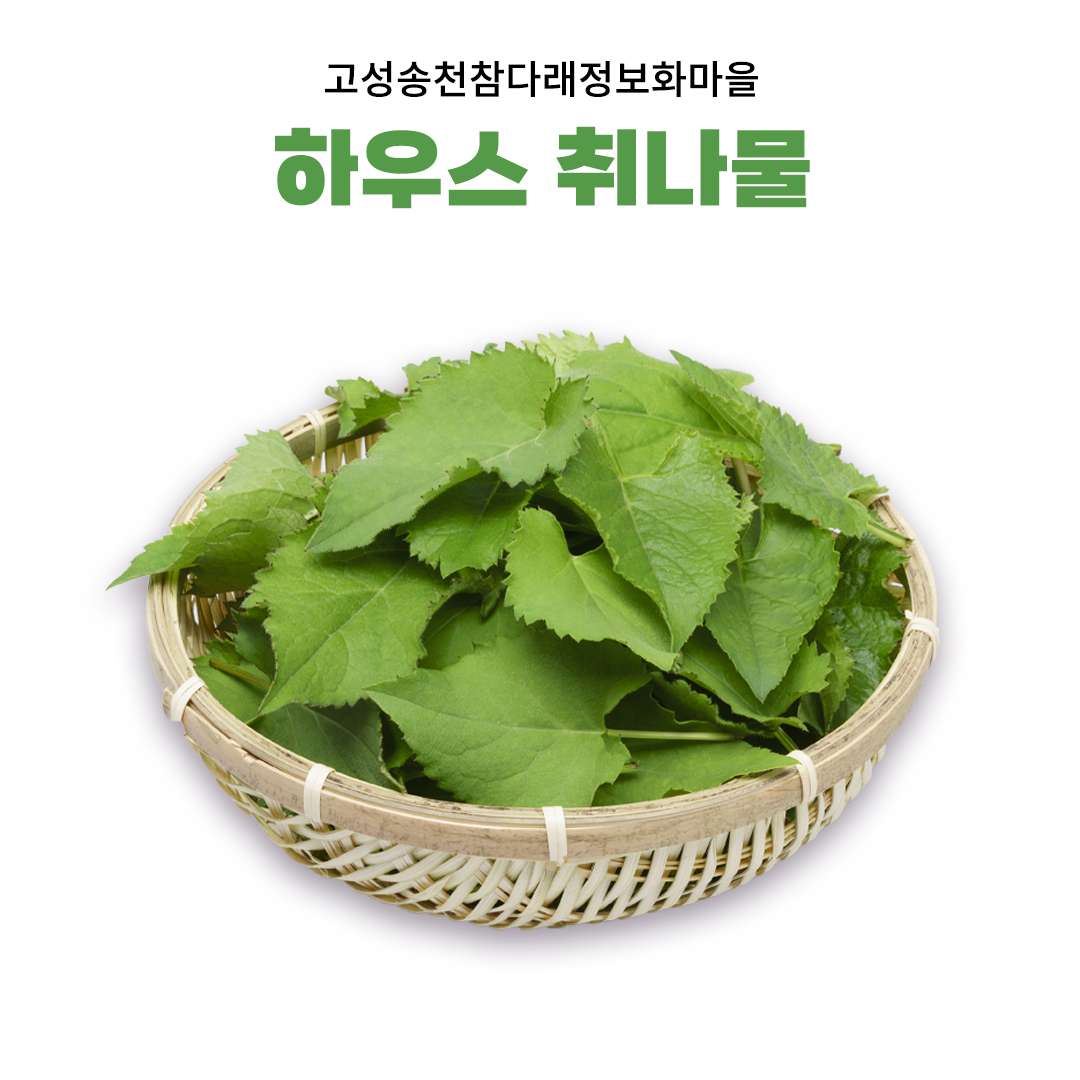 [참다래마을]무농약 취나물(하우스)