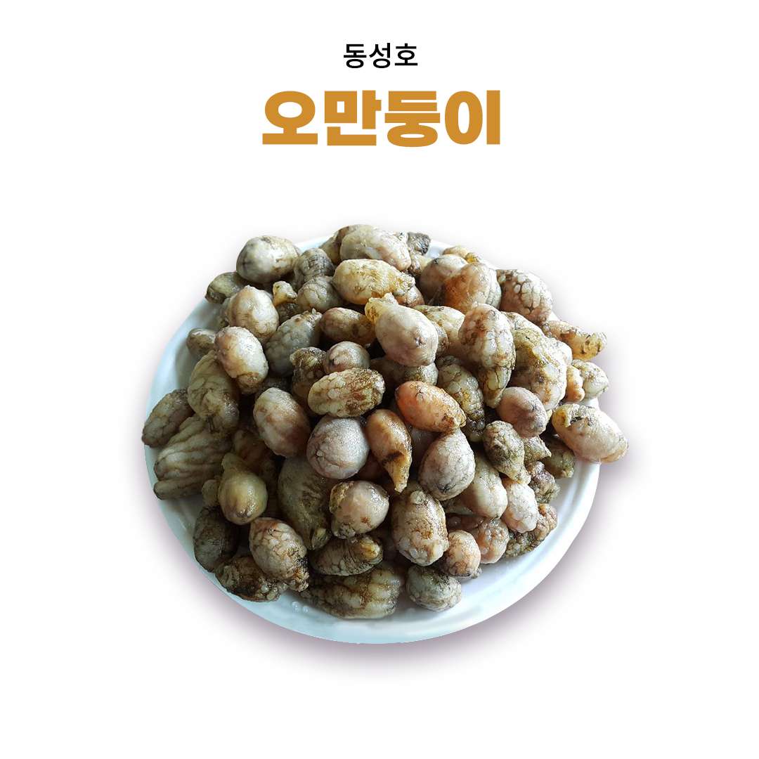 [동성호] 오만둥이 (생물 or냉동 옵션선택)