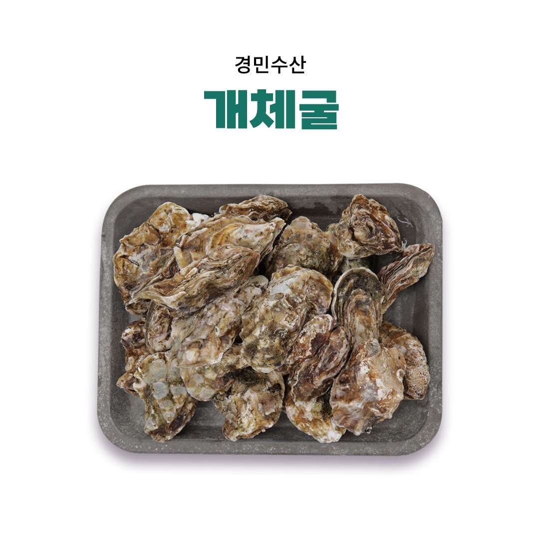 [경민수산] 개체굴(옵션선택)