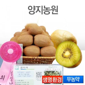 [양지농원]무농약 골드키위 5kg(옵션선택)