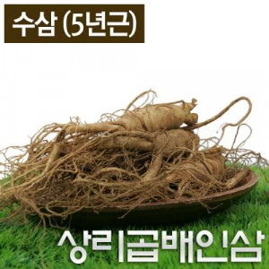 [상리곱배인삼]수삼 5년근 1.5Kg(12 ~14뿌리)