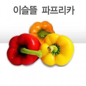 [이슬뜰영농조합법인]  파프리카(3Kg, 16-18Ea정도, 개별포장) 매주 화,금 발송  