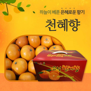 [천해향농원] 천혜향 5kg(실속형)