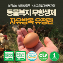 [대가농장] 유정란(60구)  *전국 최저가 도전* 2,000원 할인행사중!! 