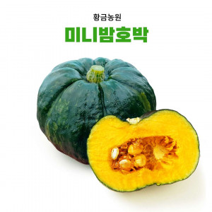 [황금농원] 미니 밤호박(3kg or 5kg) 할인행사중~