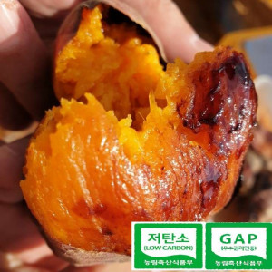 [백선생고구마농원]2025년산  호박고구마- 특상품 (5kg, 10kg) 