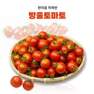 [한마음작목반] 방울토마토(2kg 또는 5kg 옵션선택) 매주 월, 목 발송