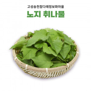 [참다래마을] 무농약 노지 취나물(옵션선택) *일시품절*