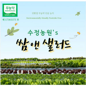 [수정농원] 쌈앤 샐러드 (옵션선택)  