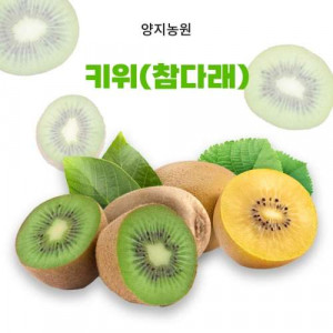 [양지농원]무농약 참다래 5Kg(옵션선택) 